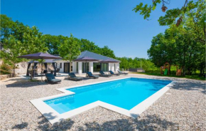 Gorgeous Home In Ivanbegovina